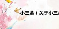 小三金(關于小三金簡介)