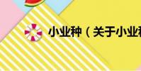 小業種(關于小業種簡介)