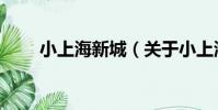 小上海新城(關于小上海新城簡介)