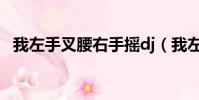 我左手叉腰右手搖dj(我左手叉腰右手搖)