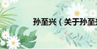 孫至興(關于孫至興介紹)