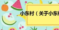 小東村(關于小東村簡介)