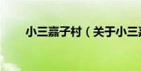 小三嘉子村(關于小三嘉子村簡介)
