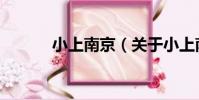 小上南京(關于小上南京簡介)