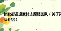孫耿街道逯家村志愿服務隊(關于孫耿街道逯家村志愿服務隊介紹)