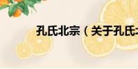 孔氏北宗(關于孔氏北宗介紹)
