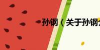 孫鋼(關于孫鋼介紹)