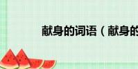 獻身的詞語(獻身的近義詞)