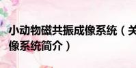 小動物磁共振成像系統(關于小動物磁共振成像系統簡介)