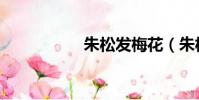 朱松發梅花(朱松花)