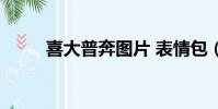 喜大普奔圖片 表情包(喜大普奔)
