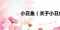 小丑魚(關于小丑魚簡介)