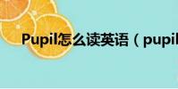 Pupil怎么讀英語(pupils怎么讀英語)