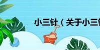 小三針(關于小三針簡介)