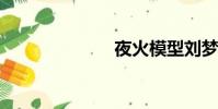 夜火模型劉夢君