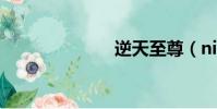 逆天至尊(nit)