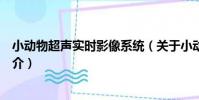 小動物超聲實時影像系統(關于小動物超聲實時影像系統簡介)