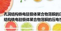 孔洞結構鐵電駐極體聚合物薄膜的壓電性能研究(關于孔洞結構鐵電駐極體聚合物薄膜的壓電性能研究介紹)