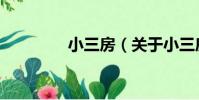 小三房(關于小三房簡介)