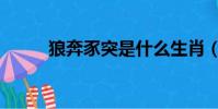 狼奔豕突是什么生肖(狼奔豕突)