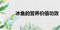 冰魚的營養價值功效(冰魚bt)