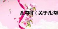 孔溝村(關于孔溝村介紹)