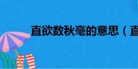 直欲數秋毫的意思(直欲數秋毫)