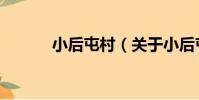 小后屯村(關于小后屯村簡介)