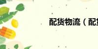 配貨物流(配貨)