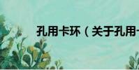 孔用卡環(關于孔用卡環介紹)