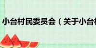 小臺村民委員會(關于小臺村民委員會簡介)