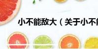 小不能敵大(關于小不能敵大簡介)