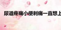 尿道疼痛小便刺痛一直想上廁所(尿道疼)