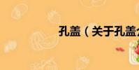 孔蓋(關于孔蓋介紹)