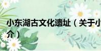 小東湖古文化遺址(關于小東湖古文化遺址簡介)