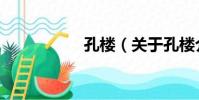 孔樓(關于孔樓介紹)