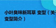 小葉臭味新耳草 變型(關于小葉臭味新耳草 變型簡介)