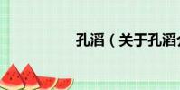 孔滔(關于孔滔介紹)