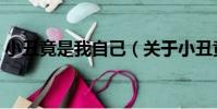小丑竟是我自己(關于小丑竟是我自己簡介)