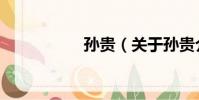 孫貴(關于孫貴介紹)