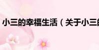 小三的幸福生活(關于小三的幸福生活簡介)