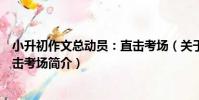 小升初作文總動員:直擊考場(關于小升初作文總動員:直擊考場簡介)