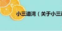 小三道灣(關于小三道灣簡介)