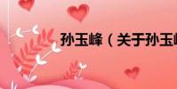 孫玉峰(關于孫玉峰介紹)