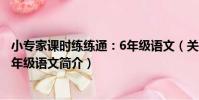 小專家課時練練通:6年級語文(關于小專家課時練練通:6年級語文簡介)