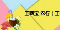 工薪寶 農行(工薪寶)