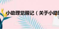 小助理覺醒記(關于小助理覺醒記簡介)