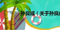 孫良成(關于孫良成介紹)