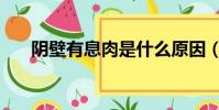 陰壁有息肉是什么原因(陰道壁息肉)