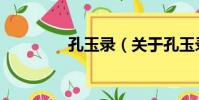 孔玉錄(關于孔玉錄介紹)